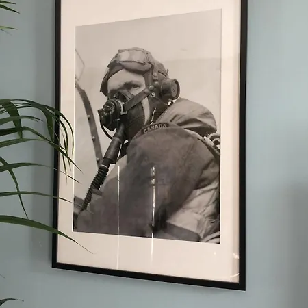 Dday Aviators